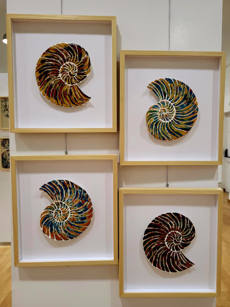 Cuatro cuadros con amonites en relieve